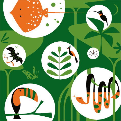 Michael Bartalos. Rain Forest. (For the California Academy of Sciences, San Francisco)