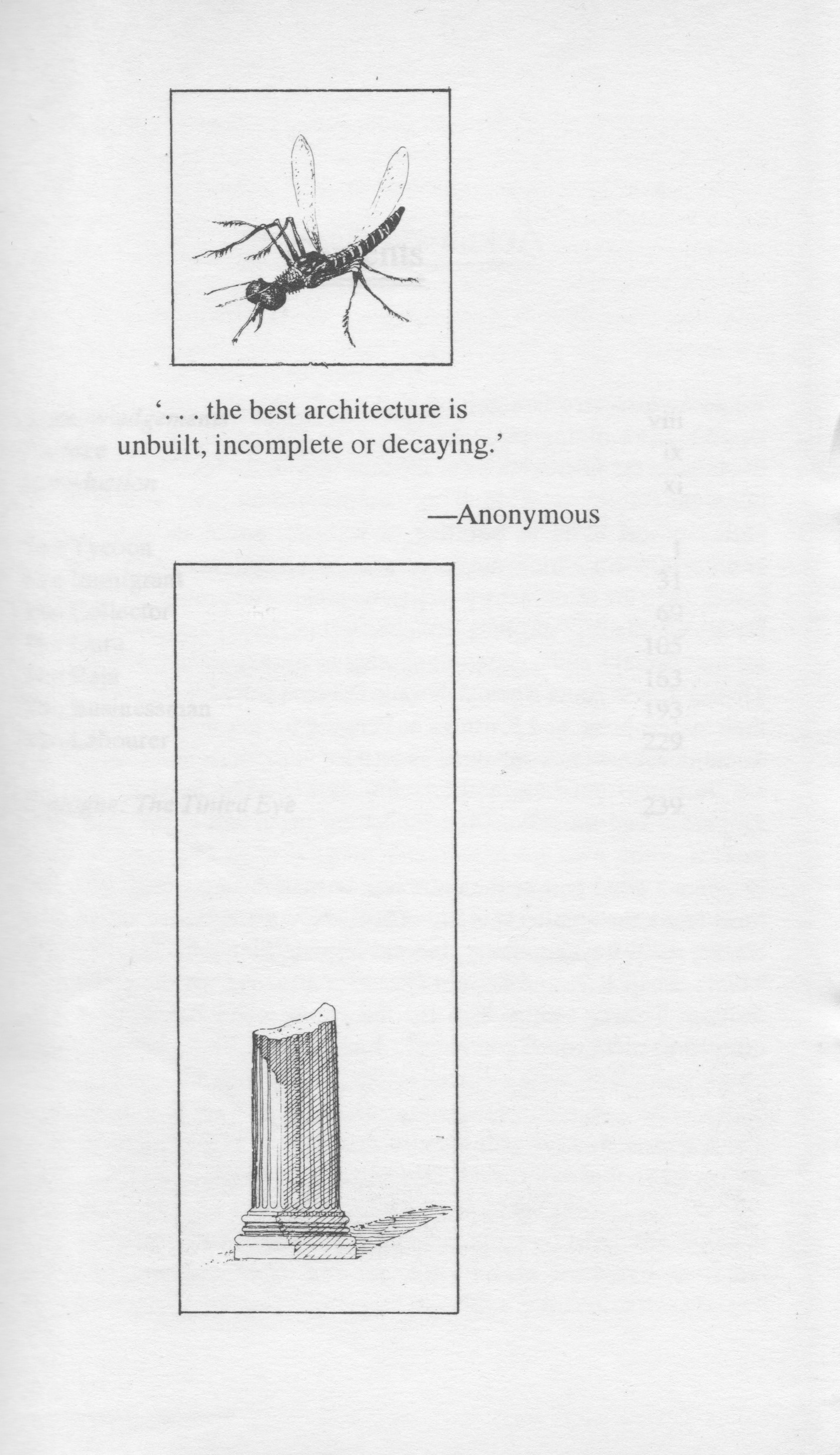 Malaria Dreams Front Page. 1995. Pen and Ink.